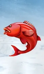 Ice Fishing